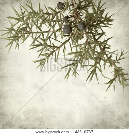 Textured Old Paper Background