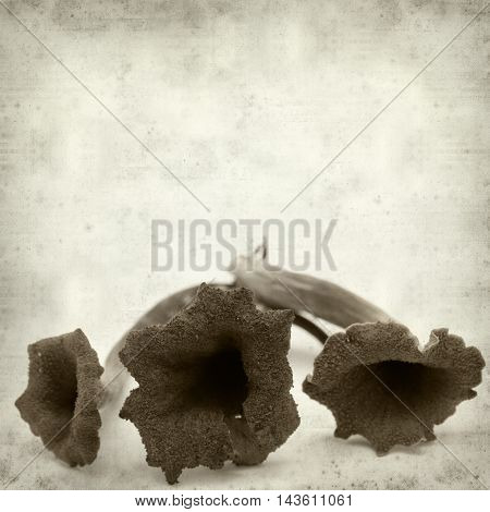 Textured Old Paper Background