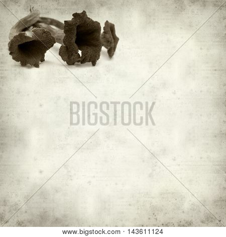 Textured Old Paper Background