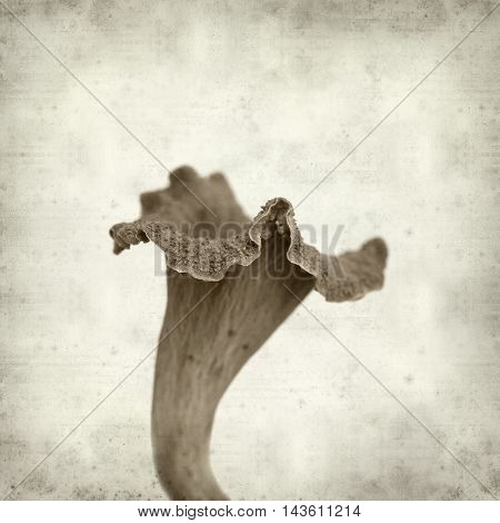 Textured Old Paper Background