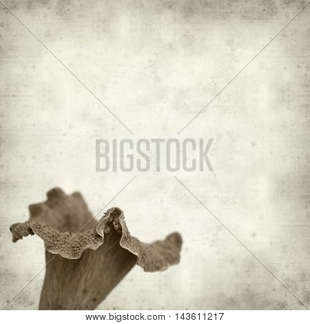 Textured Old Paper Background