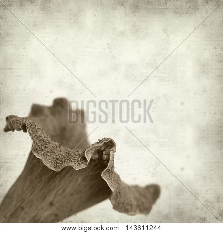Textured Old Paper Background