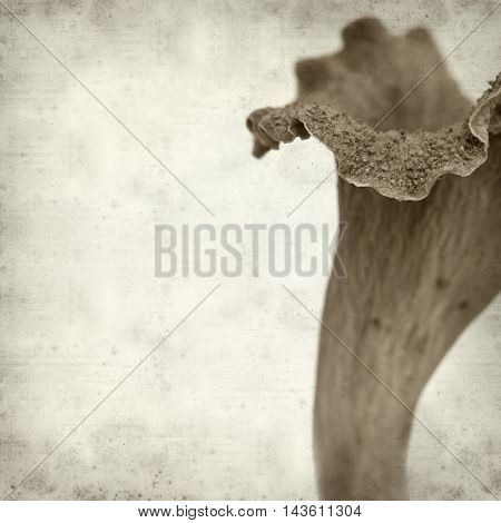 Textured Old Paper Background