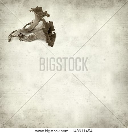 Textured Old Paper Background