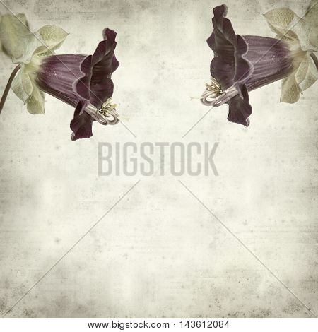 Textured Old Paper Background