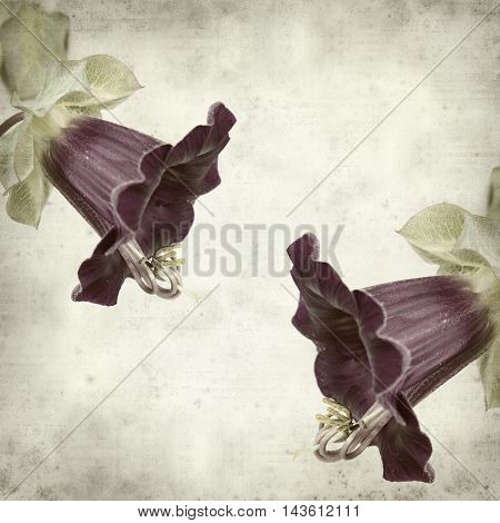 Textured Old Paper Background