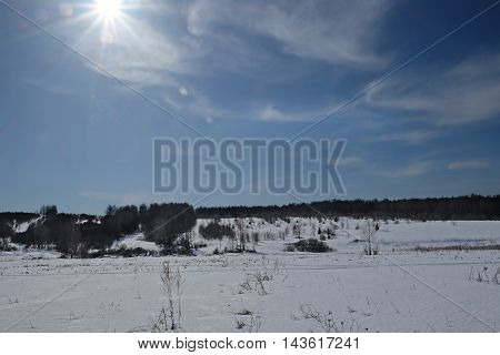 Sunny day in early spring. 