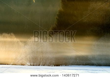 Color fog at dawn in Plesheevo National park. Yaroslavl region Russia