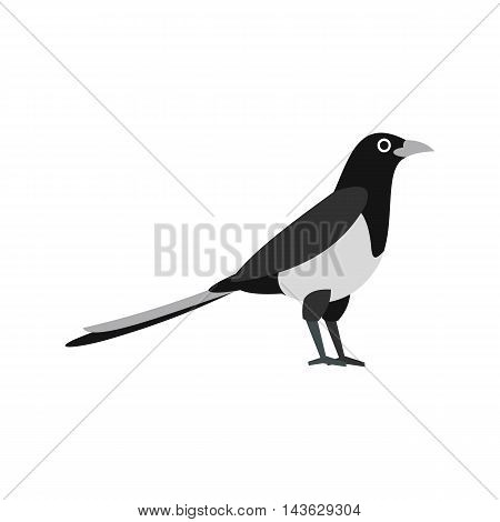 Magpie icon in flat style on a white background