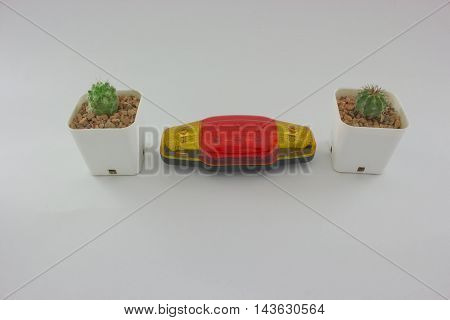 cactus on white background and LED lamp.