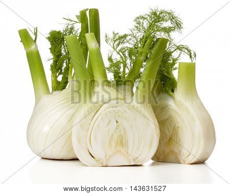 Fresh fennel bulb isolated on white background close up