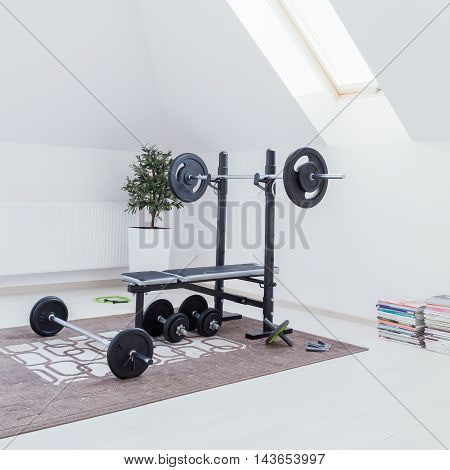 Small Home Gym