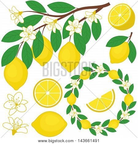 Vector lemon set with flowers wreath branch and leaves
