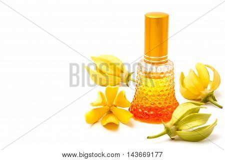 Ylang-Ylang essential oil with flowers isolated on white background.