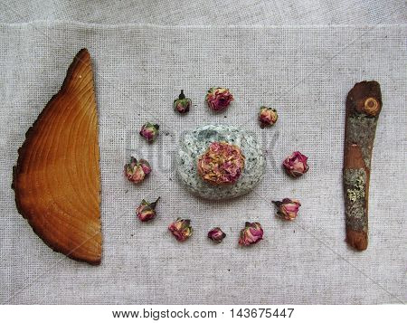 Set of nature objects on linen background