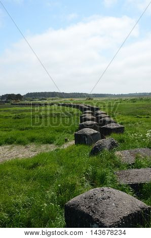 A view of old world war two anti tank defences at tentsmuir forest