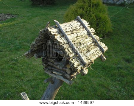 photo d'oiseaux housepictured en 