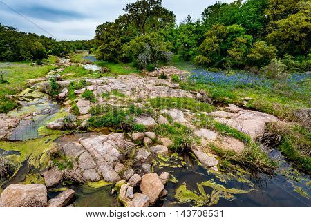 A Rocky Texas Creek With Wildflowers.