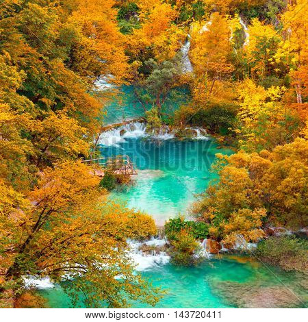 Aerial Autumn view on waterfalls and lakes with turquoise water and golden trees in the Plitvice Lakes National Park,  Croatia, Europe