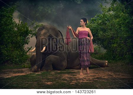 Beautiful woman dressed in traditional elephant village in Surin, Thailand.