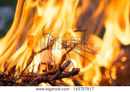 Bonfire, Burning branches, macor fire and smoke