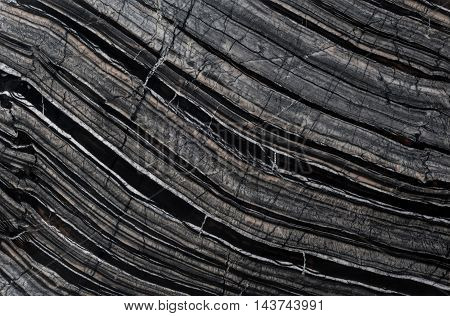 Chinese Black Wooden Vein Marble Tile background