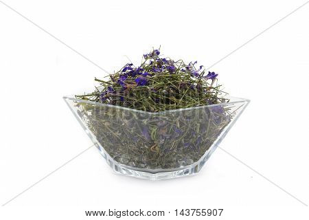 consolida regalis (Consolida regalis) in glass wares on a white background