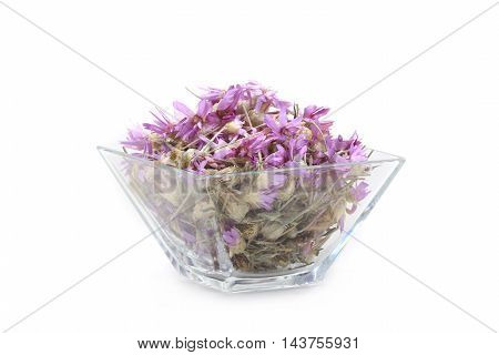 Immortelle (Xeranthemum annuum) in glasswares on a white background