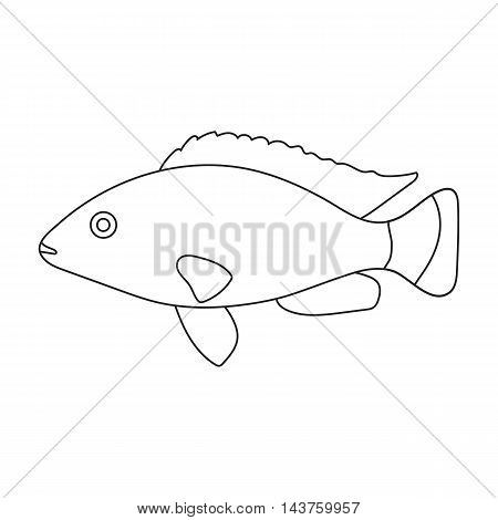 Cichlid hummingbird fish icon line. Singe aquarium fish icon from the sea, ocean life collection.