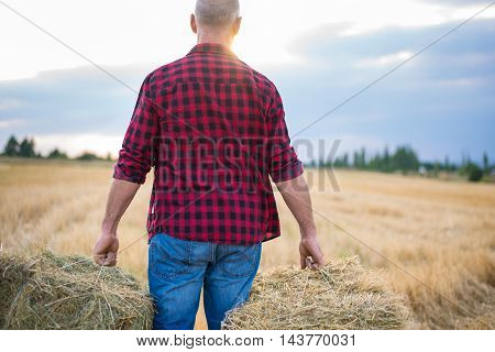 Working Farmer Man With Straw Bales
