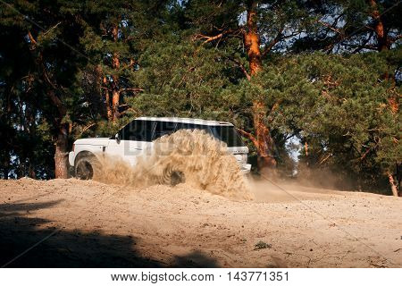 Saratov, Russia - September 01, 2014: Car Land Rover Range Rover drive at sand off-road near pine forest at daytime