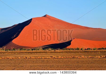 Beautiful landscape with big red dune at sunrise Sossusvlei Namib Naukluft National Park Namibia Namib desert Africa