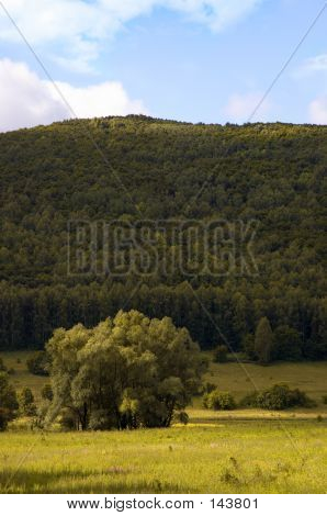 Pictorial anzeigen