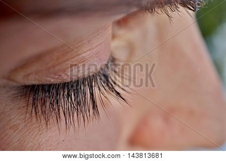 Macro detail of a closed woman eye with extremely long black natural eyelashes and dark brown eyebrows
