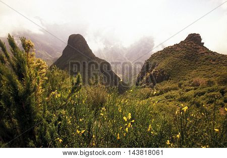 Europe Portugal Madeira Ribeira Da Janela