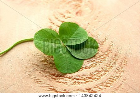 Green four-leaf clover on wooden background