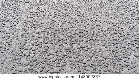 Rain Drops Sticking To Manmade Materials, Textures And Patterns.