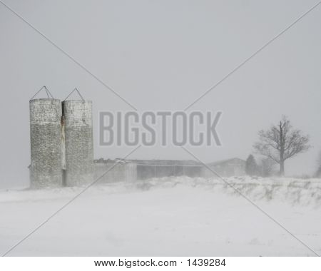 Mattina d'inverno