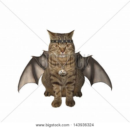 A cat has wings on the white background.. It looks like a bat.