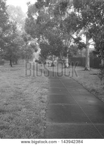 Creepy dark bike path with tree line and heavy fog Melbourne Australia 2015