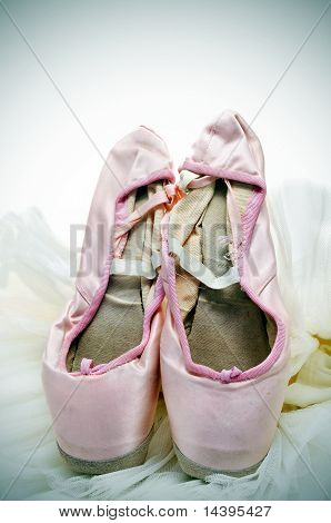 Tutu e scarpe da punta