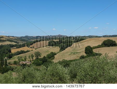 Chiantishire Hills Landscape
