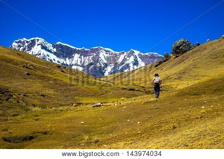 Lonely traveller going to a big ice montain at ausangate