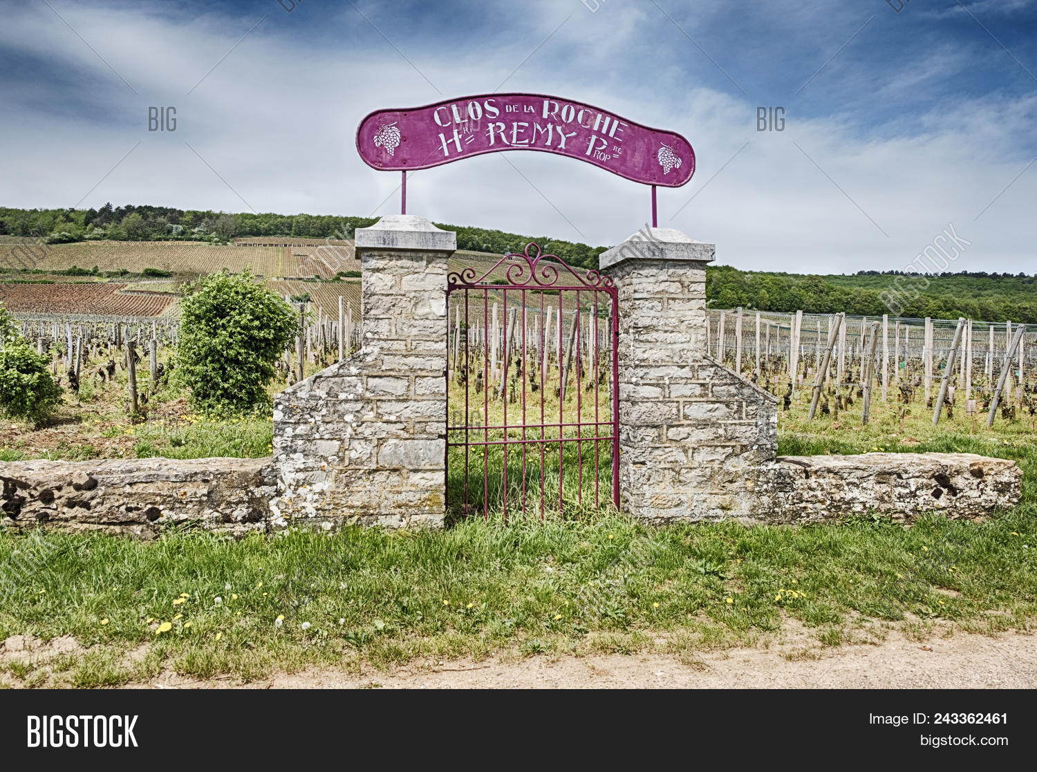 stone gate vineyard