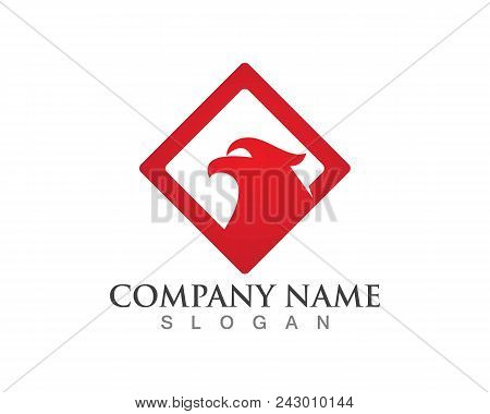 Falcon Eagle Bird Logo Template Vector Icon