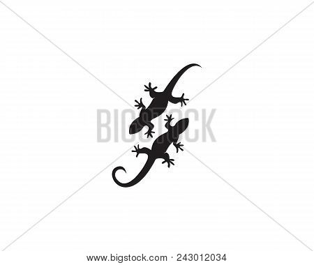 Lizard Logos Template Symbols