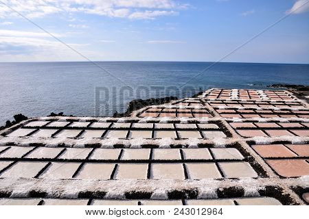 Picture Photo Of Salt Flats In The Canry Islands