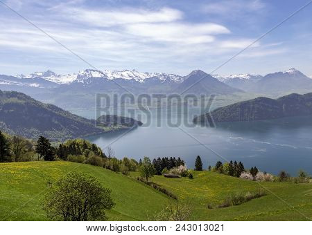 Landscape View Of Lucern Lake , Apls Mountain With Grass Flower In Spring Season