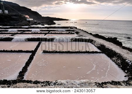 Picture Photo Of Salt Flats In The Canry Islands