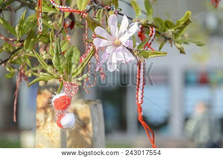 Martenitsa In A Branch Of Magnolia With Flower. Octopus Martenitsa.